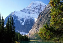 罗马前锋状态回勇，连续破门领先射手榜的简单介绍